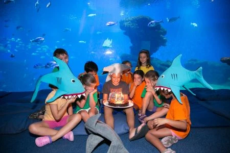 Birthdays