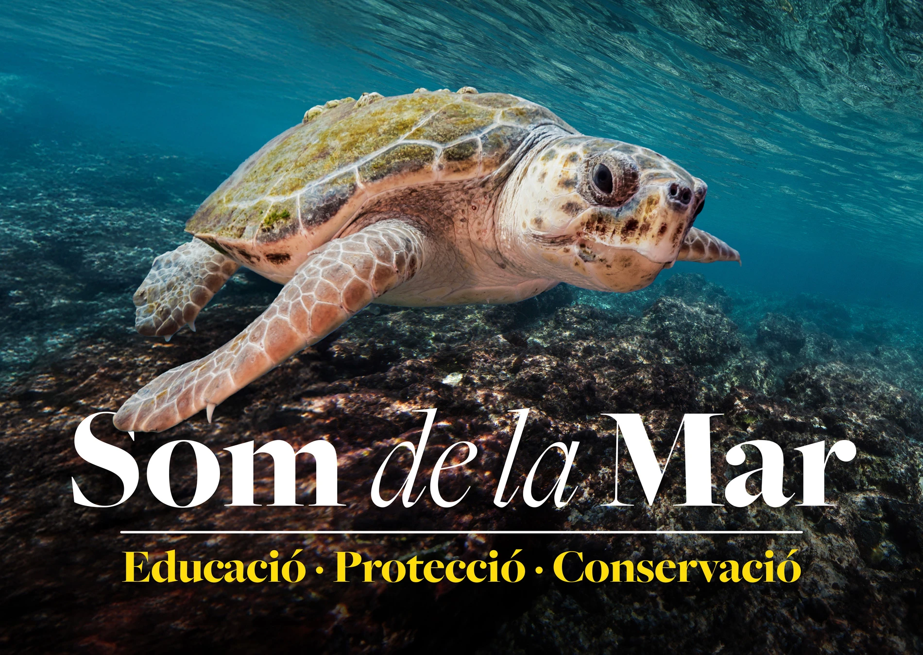 Rejoignez le mouvement « Som de la Mar » !