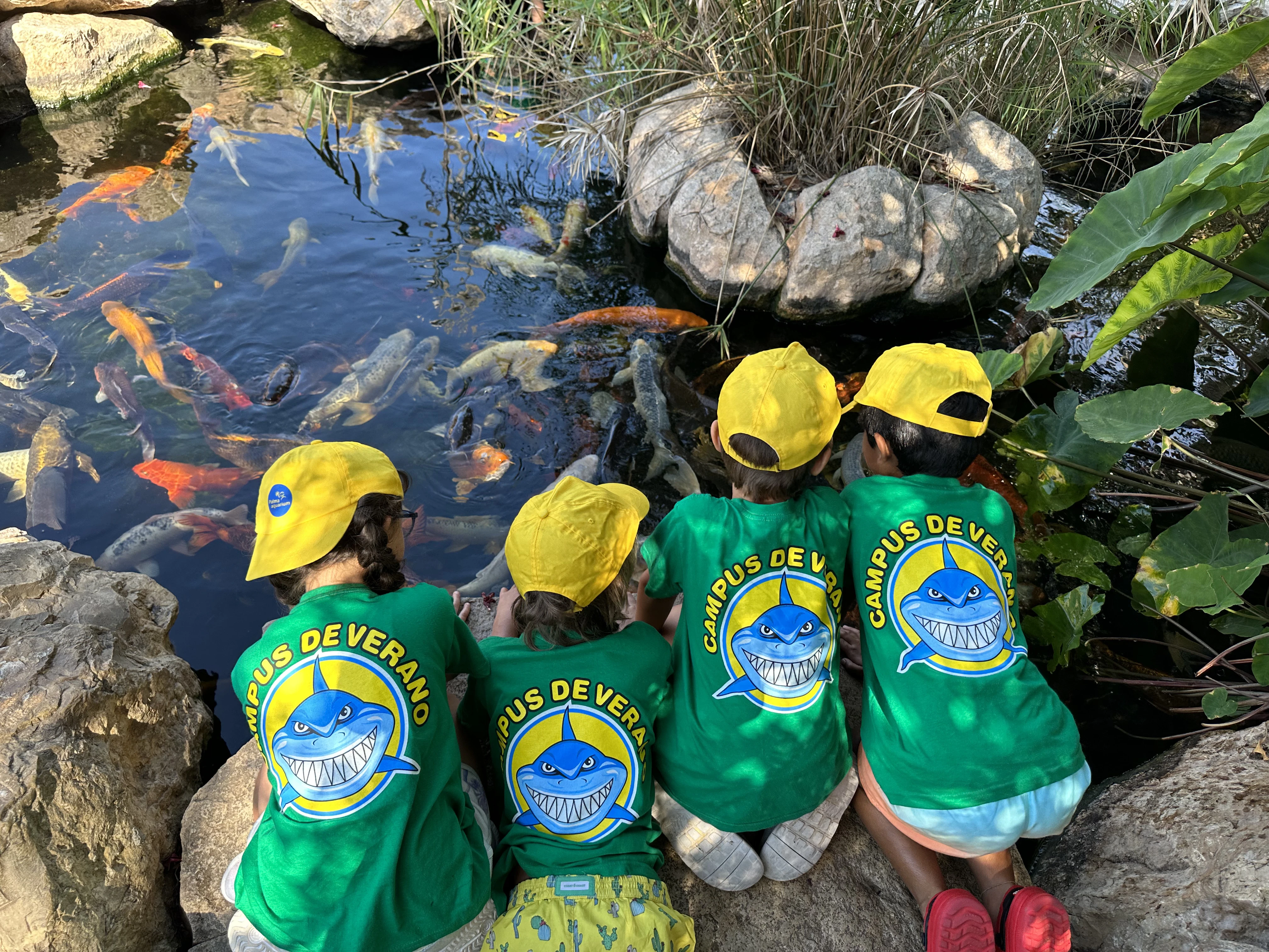 5 motius per escollir el Campus d’Estiu del Palma Aquarium