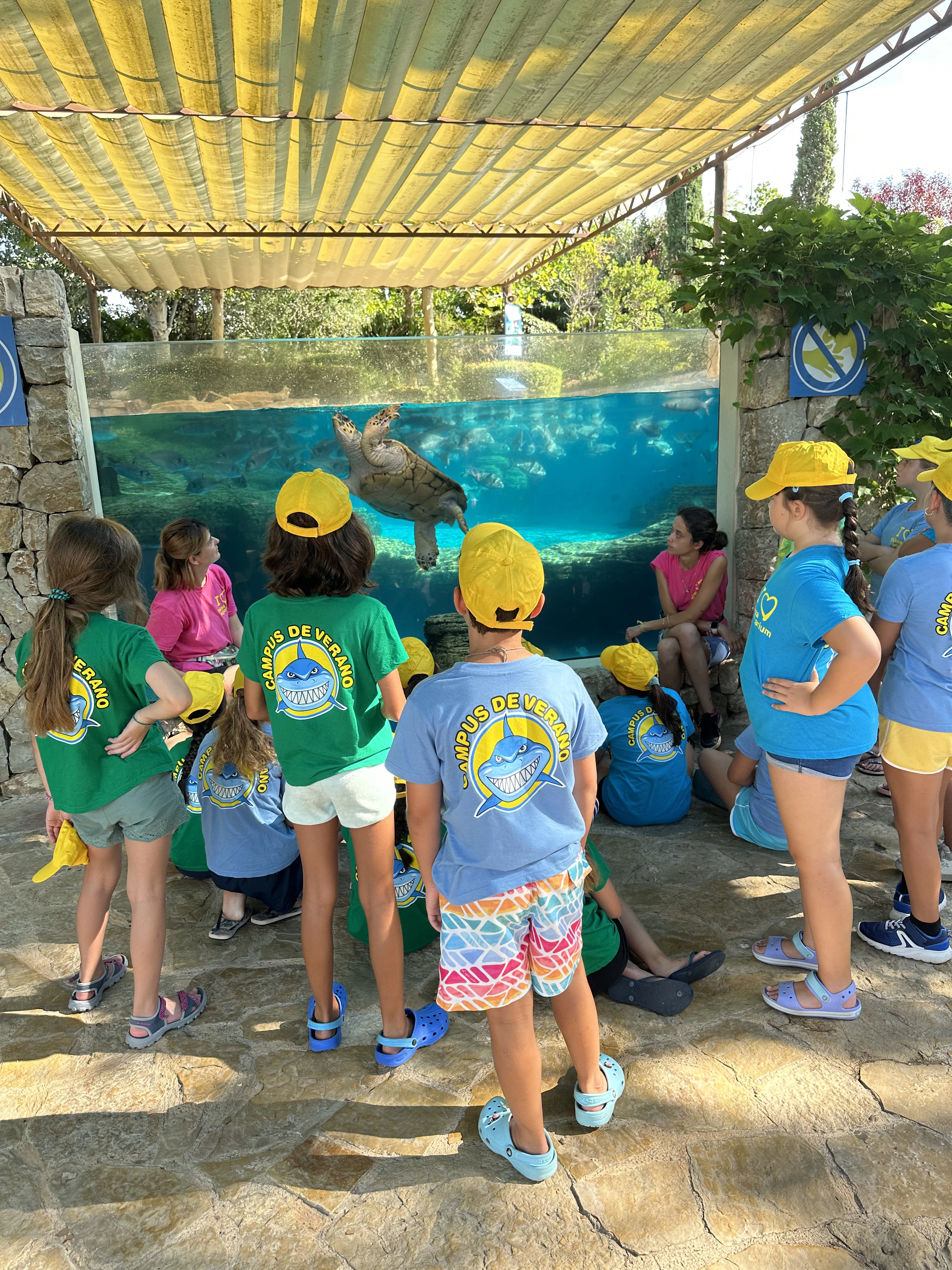 5 razones por las que elegir el Campus de Verano de Palma Aquarium