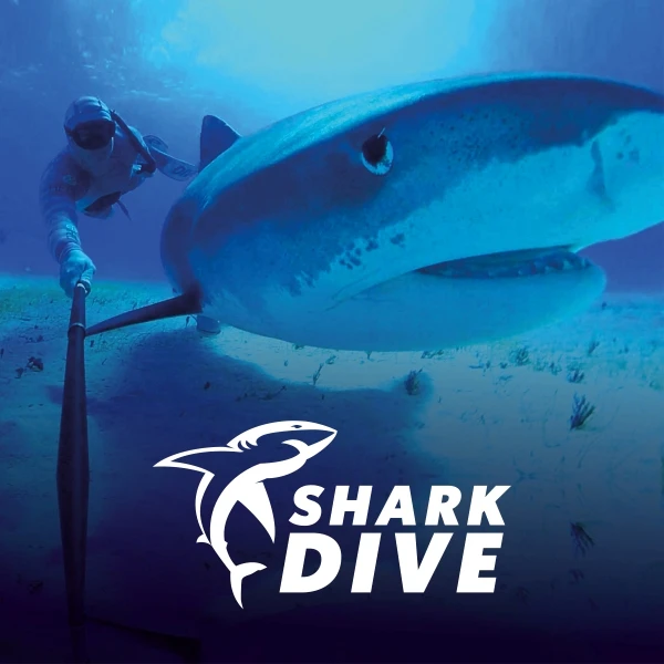 Undersea Explorer VR