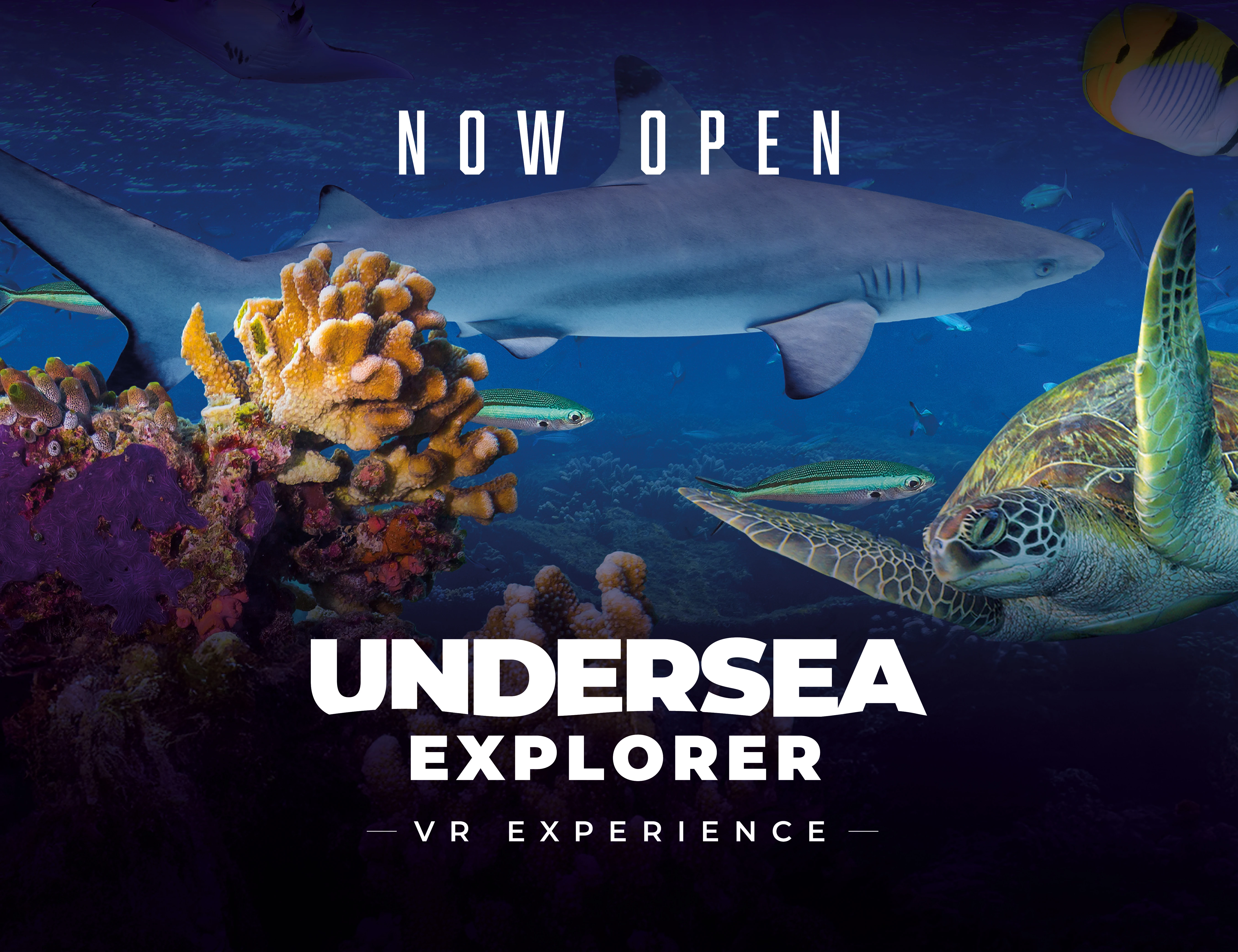 Undersea Explorer VR: Palma Aquarium’s new sensory experience