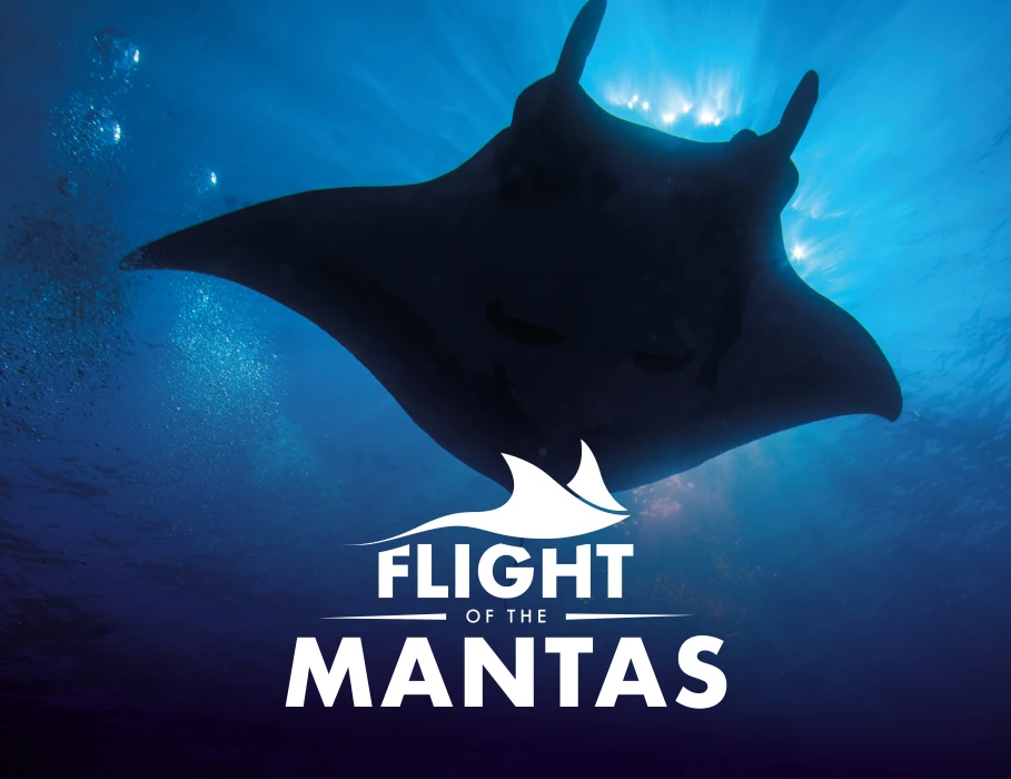 Undersea Explorer VR: Palma Aquarium’s new sensory experience