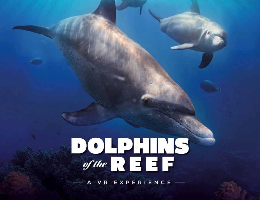 Undersea Explorer VR: Palma Aquarium’s new sensory experience
