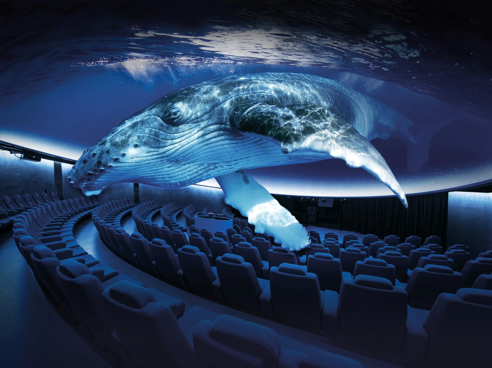 Entrada + Cine 3D Aquadome