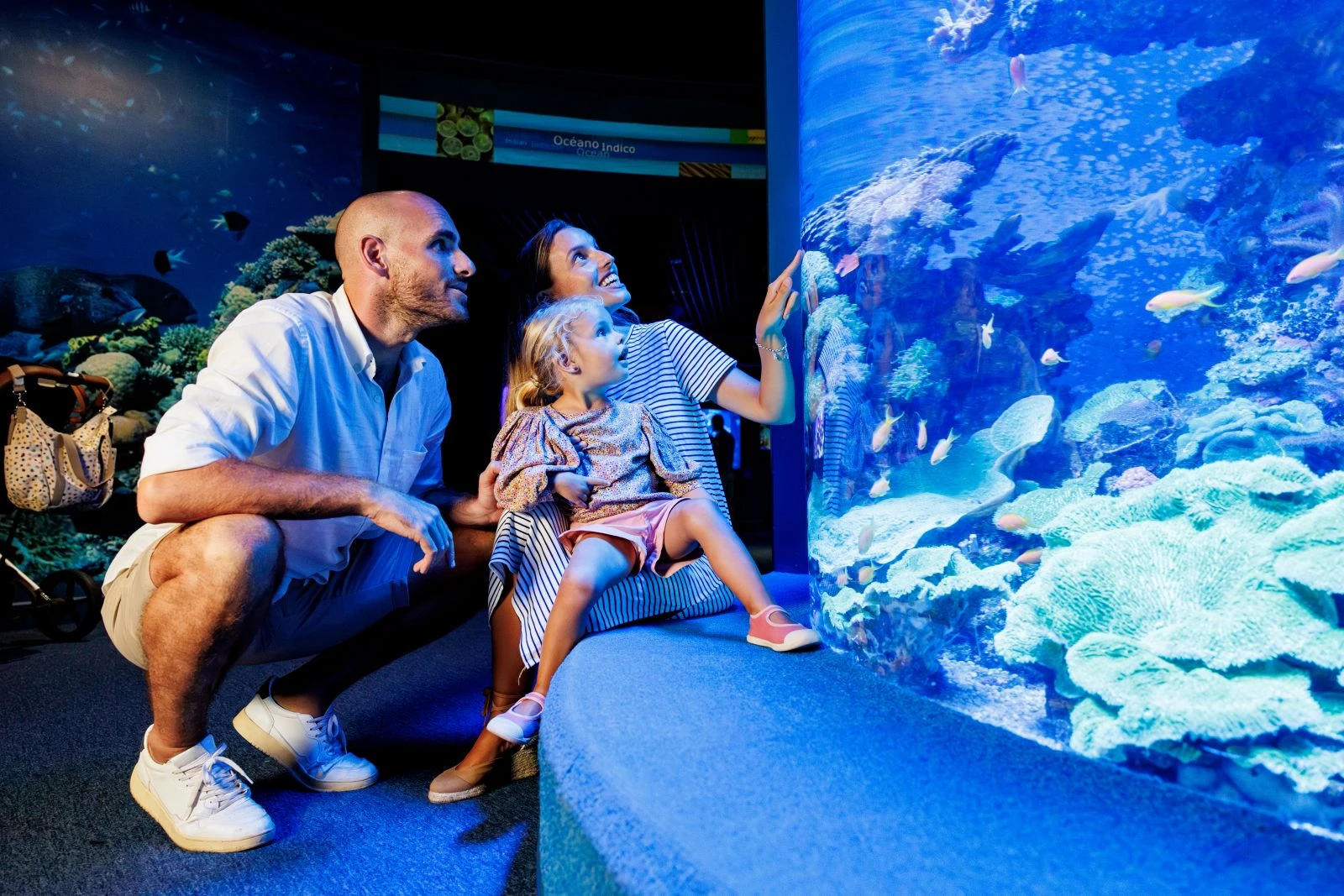 Eintrittskarte + 3D-Kino Aquadome