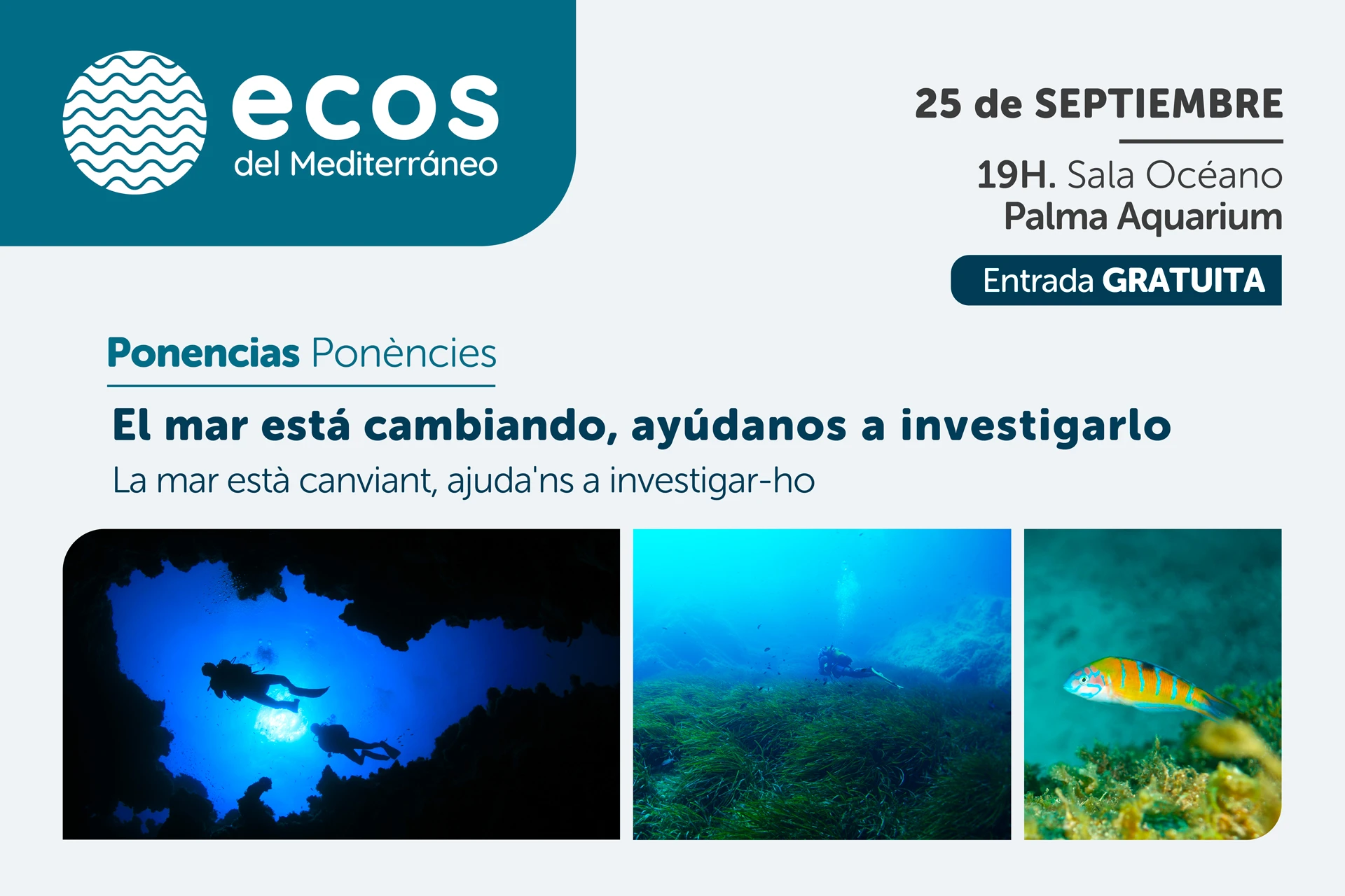 Vuelve Ecos de Mediterráneo:  Ponencias sobre el mar  impulsadas por la Fundación Palma Aquarium