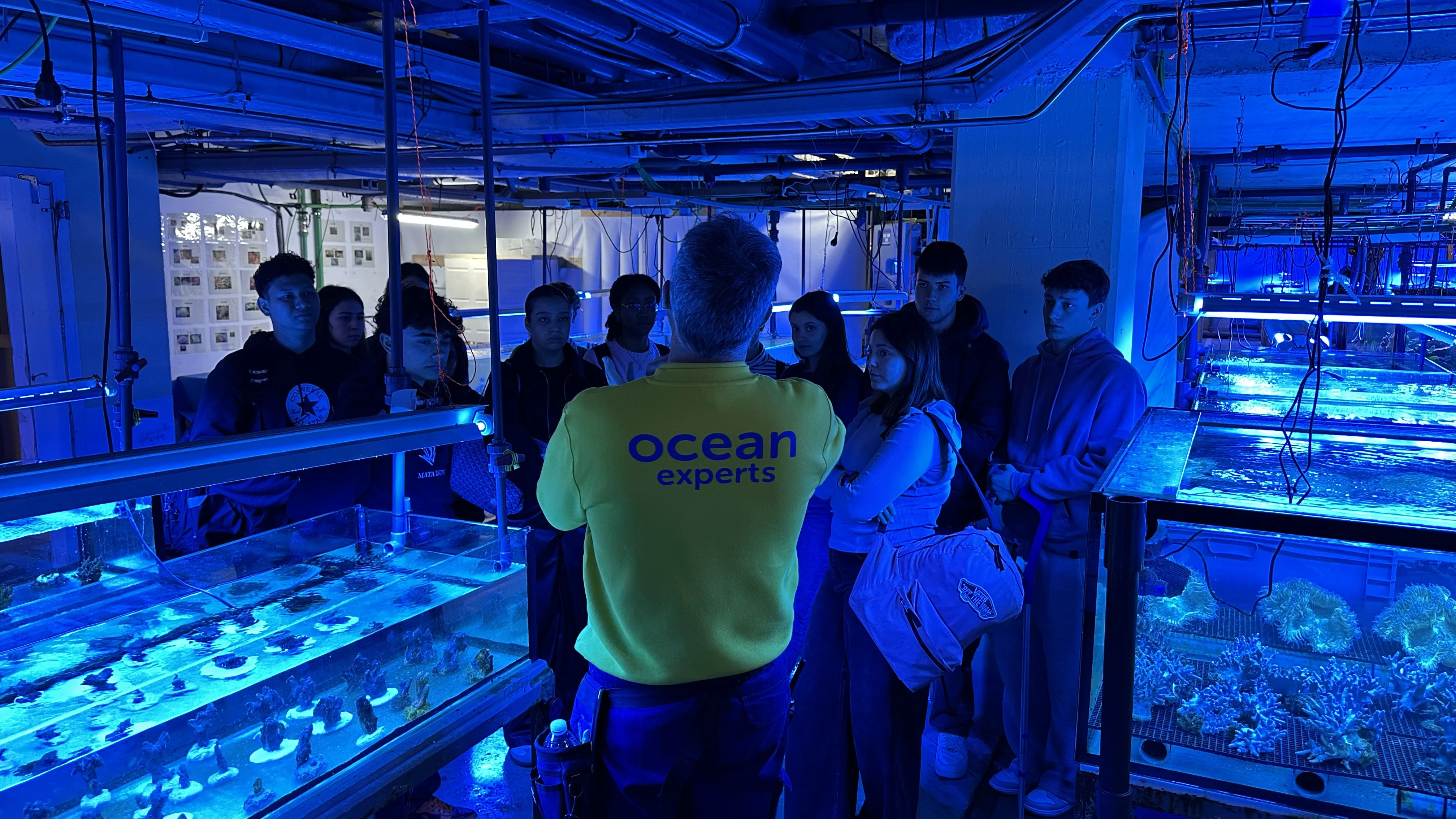 Visitas escolares de Palma Aquarium para todos los niveles
