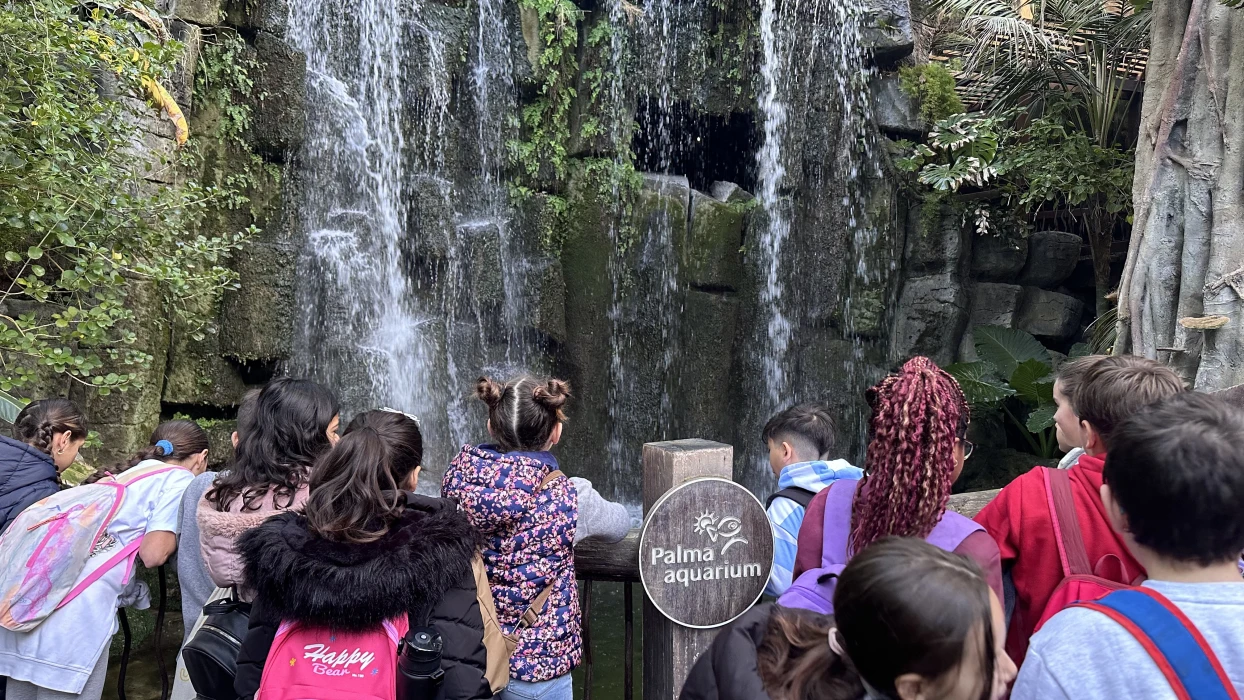 Visitas escolares de Palma Aquarium para todos los niveles