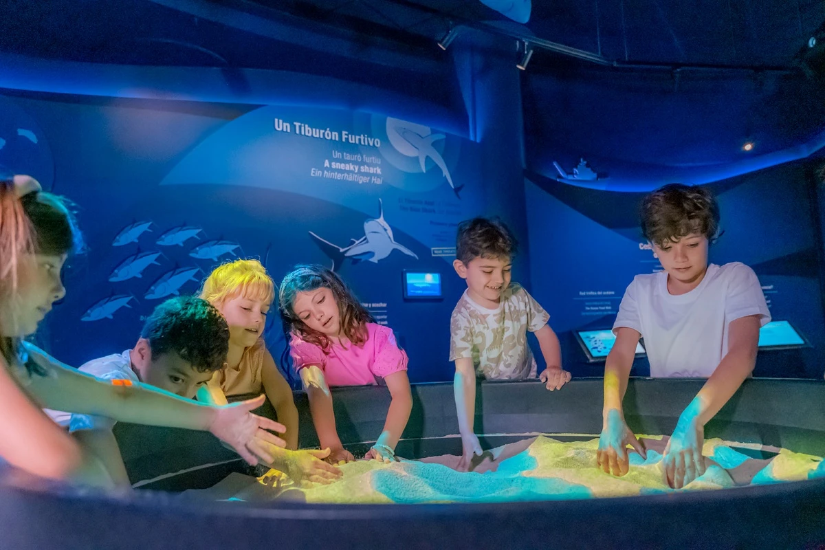 Fiesta de Cumpleaños