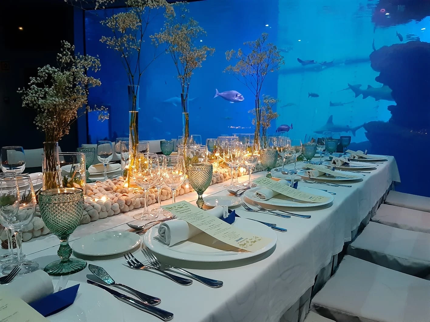 Corporate events at Palma Aquarium: a unique venue for memorable experiences