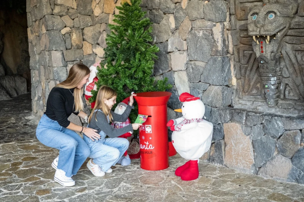 La Navidad brilla bajo el mar en Palma Aquarium: descubre la Navidad de Coral