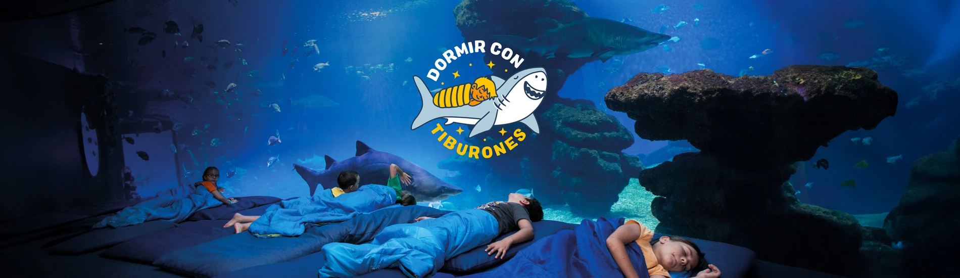 La Navidad brilla bajo el mar en Palma Aquarium: descubre la Navidad de Coral