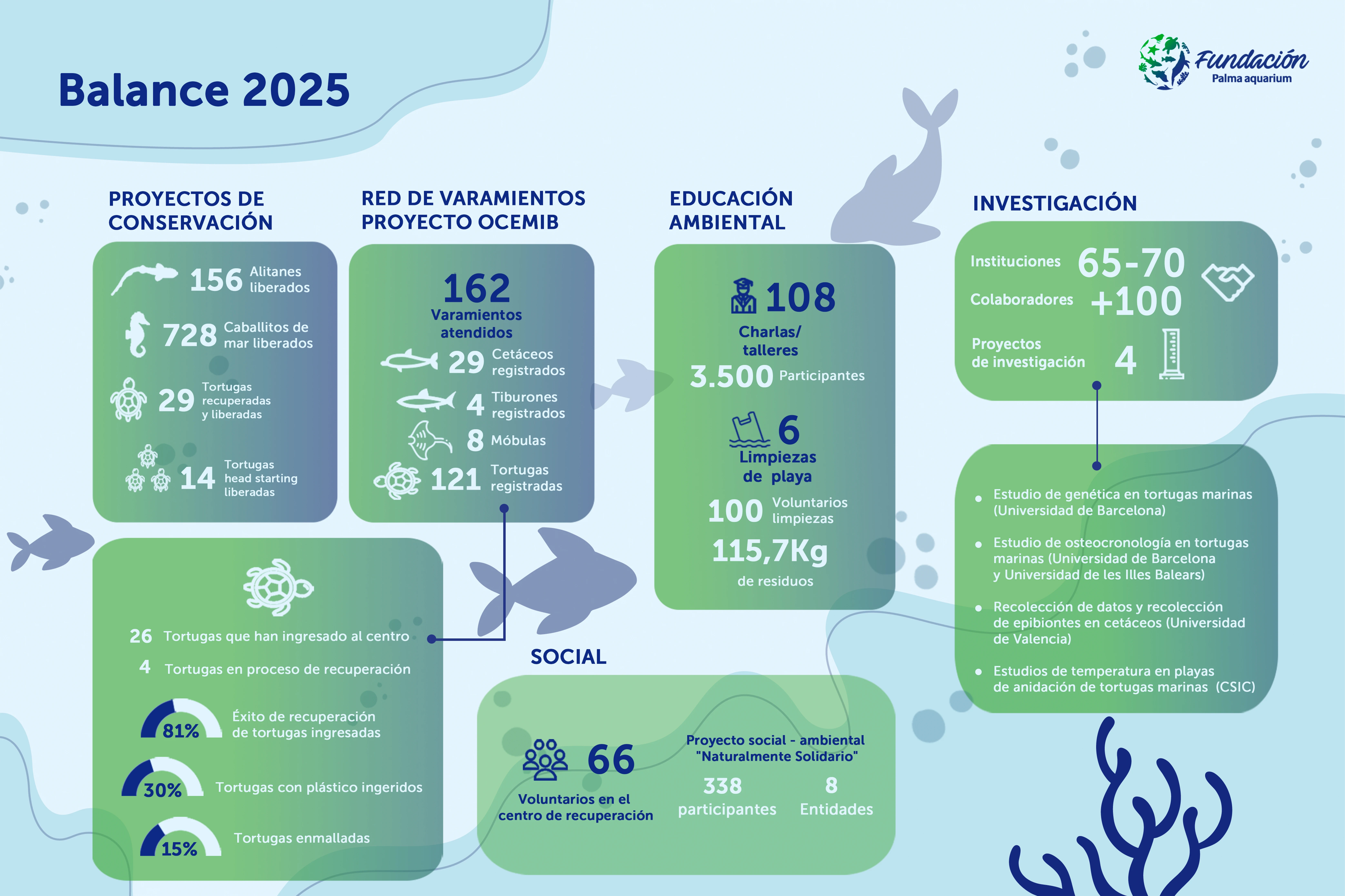 Palma Aquarium Foundation: conserving, researching and protecting marine life 