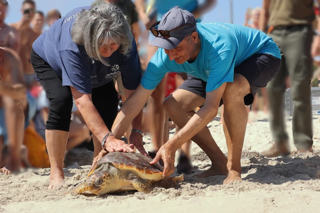 Palma Aquarium Foundation: conserving, researching and protecting marine life 