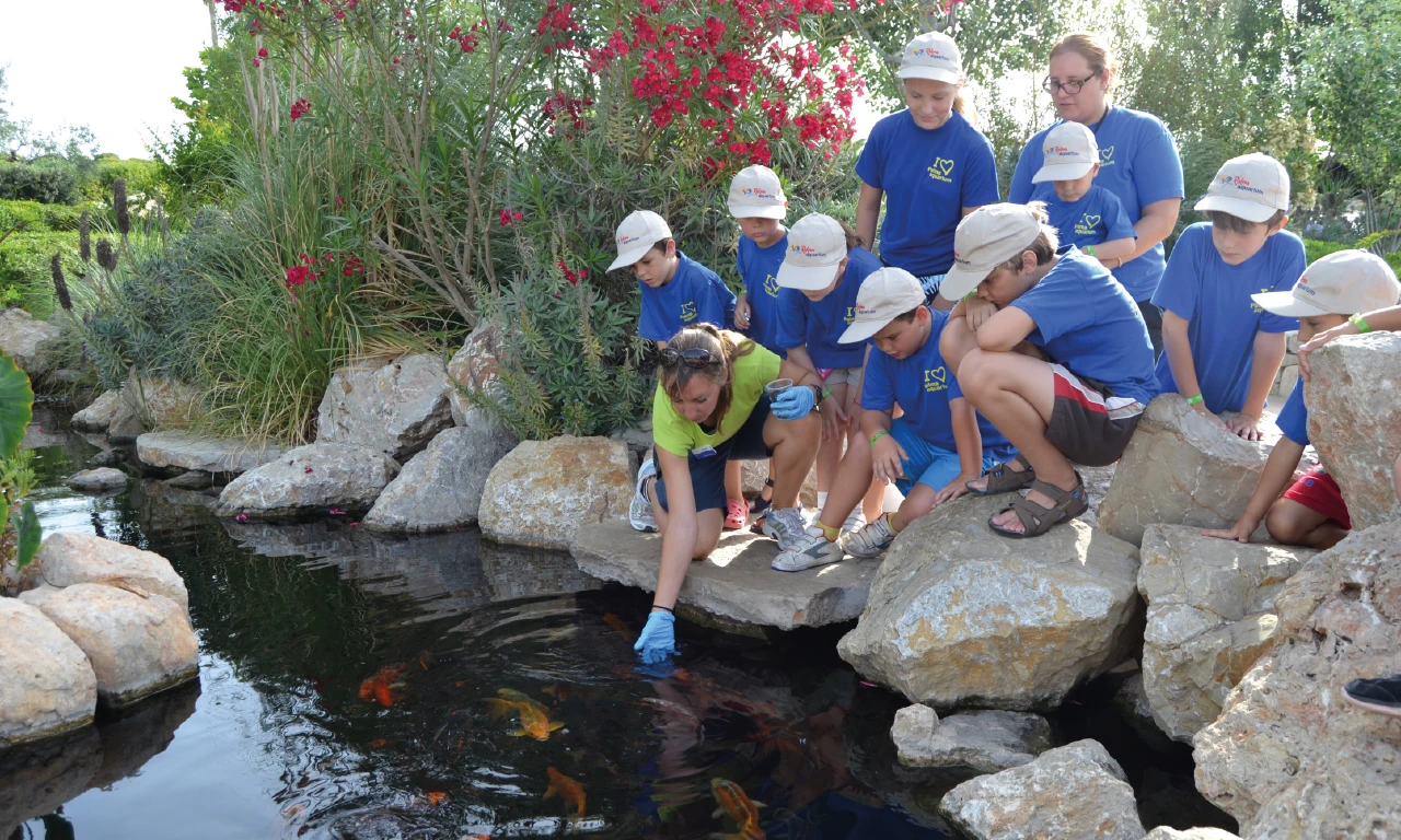 Bildungsabenteuer, die Kinder begeistern!