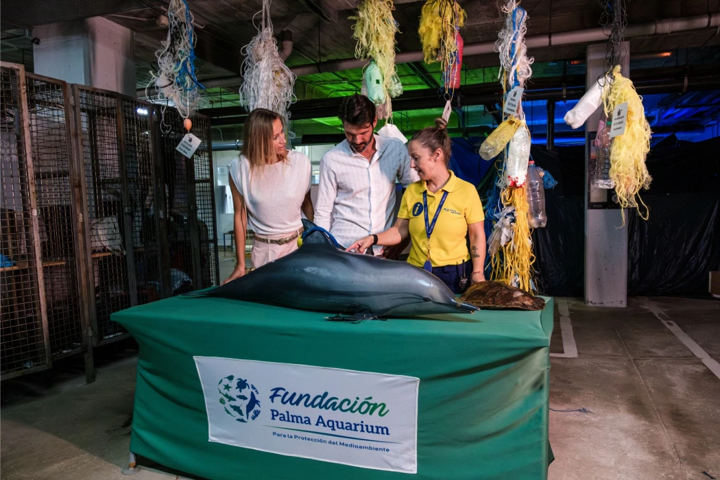 Palma Aquarium renforce son engagement en faveur de l’éducation à l’environnement, la durabilité et la sensibilisation marine en 2025