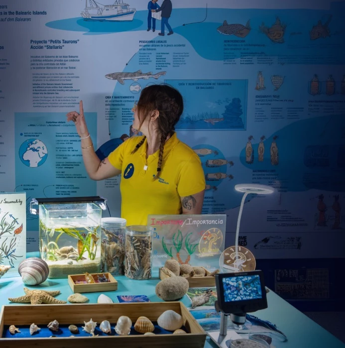 Fêtez le jour des îles Baléares à Palma Aquarium avec une fête caritative visant à protéger la mer