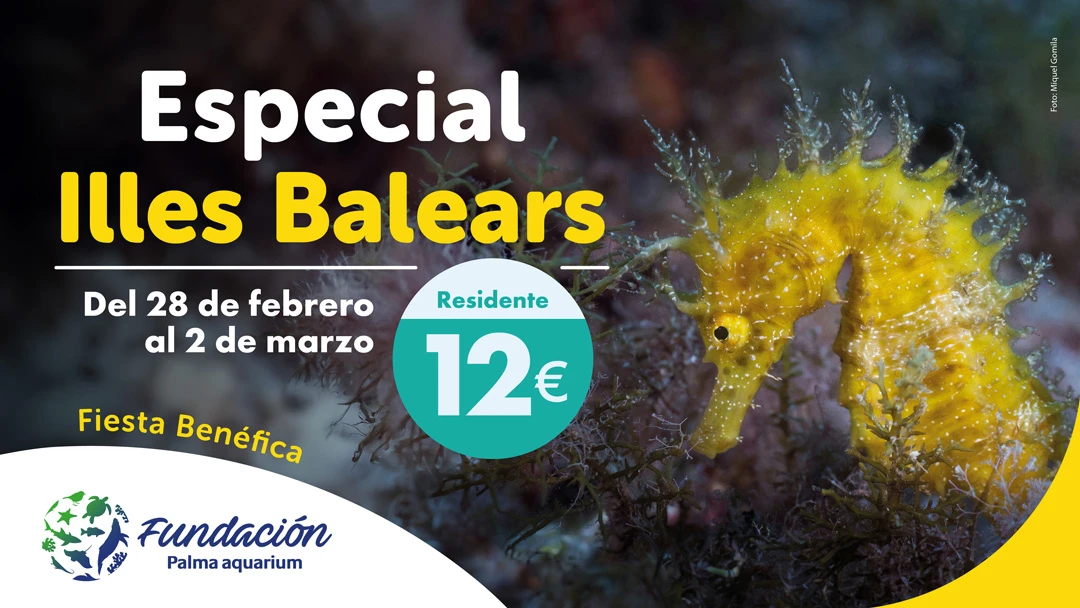 Our Foundation's charity party