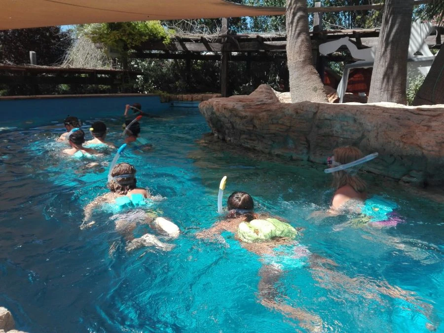 Des aventures éducatives qui fascineront vos enfants !