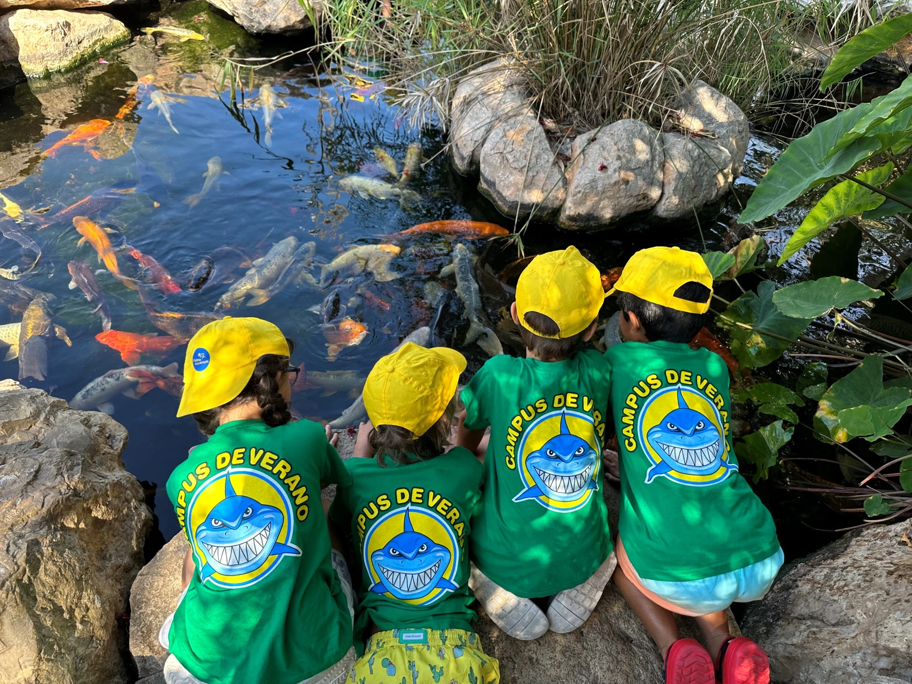 Des aventures éducatives qui fascineront vos enfants !
