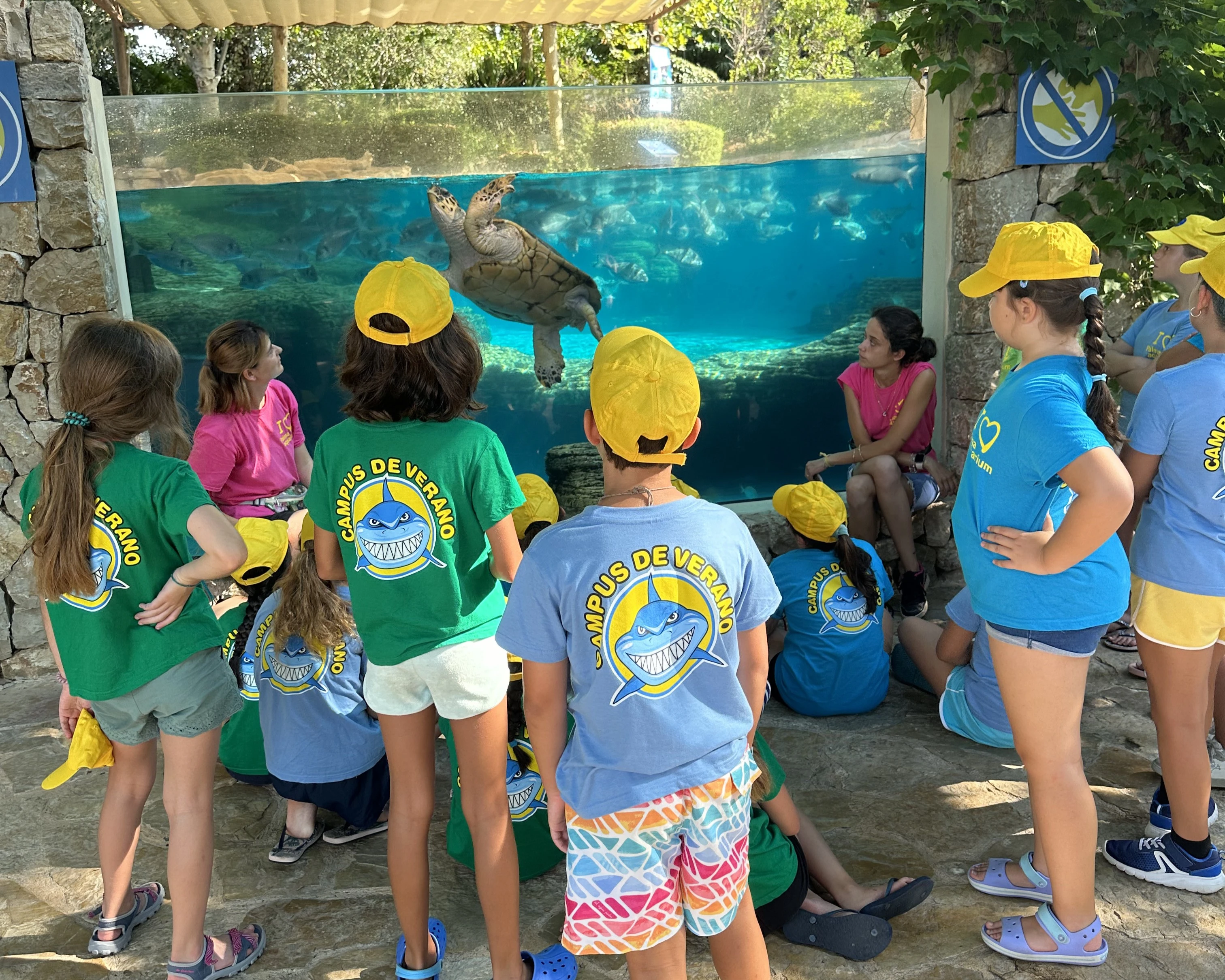 The Summer Camp at Palma Aquarium: a summer for learning, play and ocean discovery