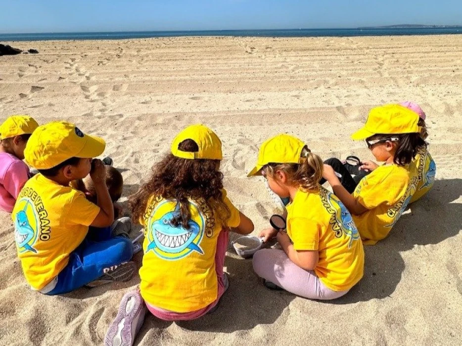 The Summer Camp at Palma Aquarium: a summer for learning, play and ocean discovery