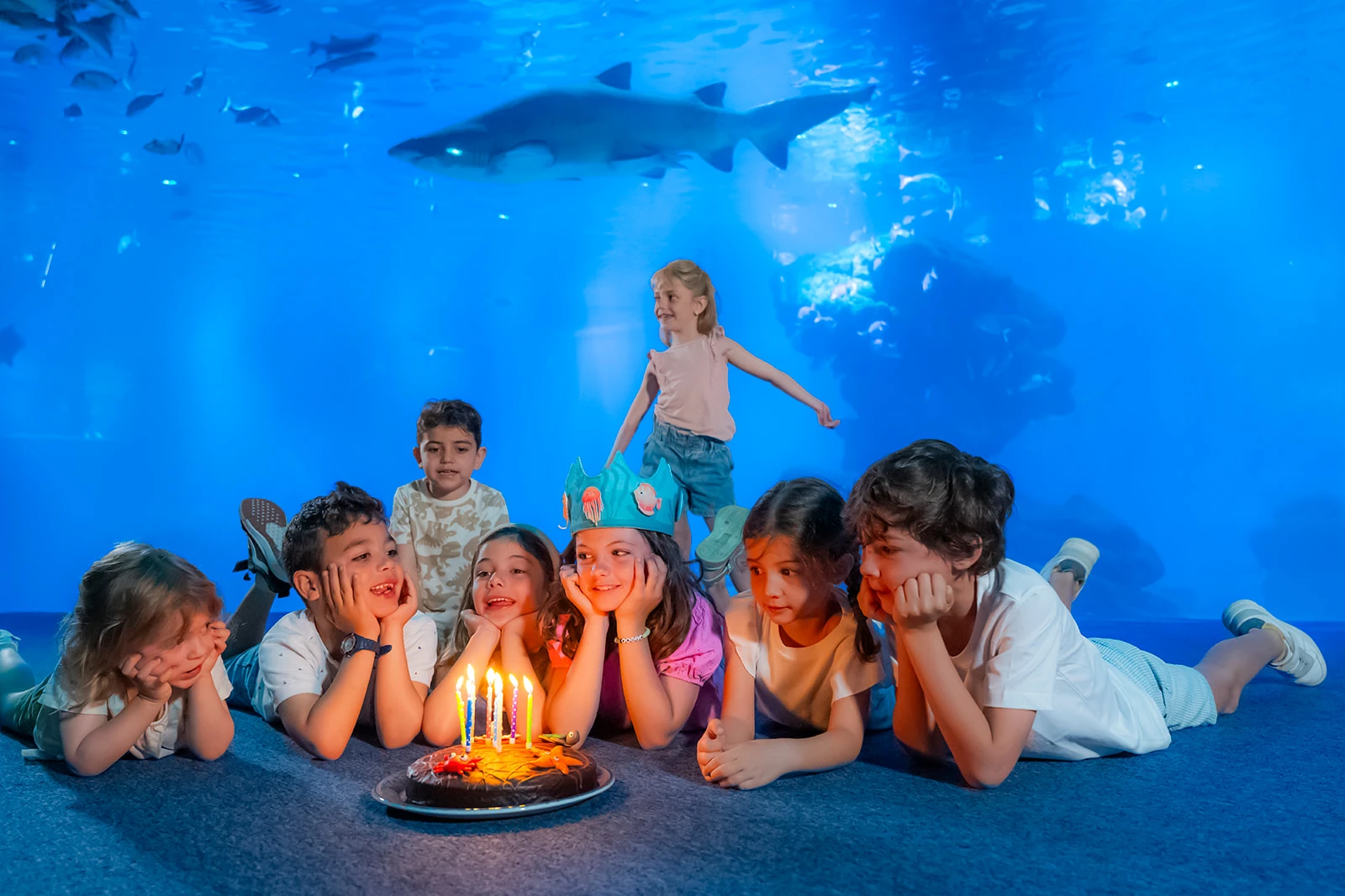 Geburtstag im Palma Aquarium: die Kerzen unter Wasser auspusten