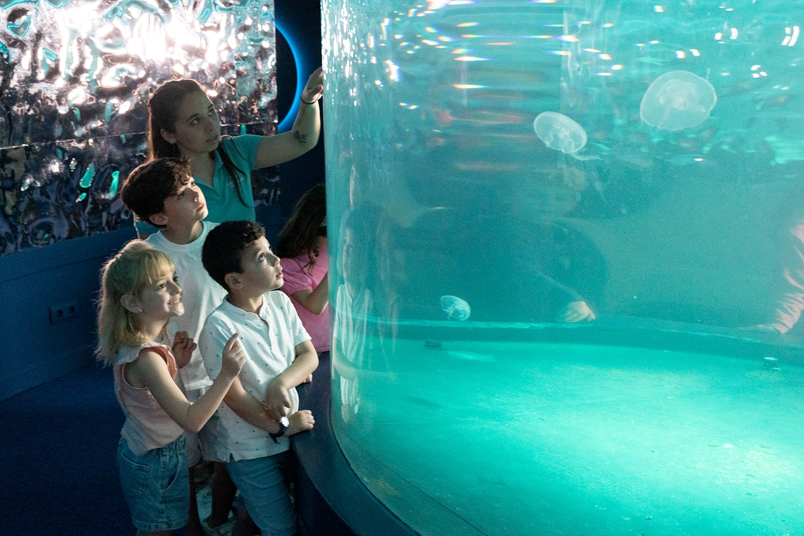 Geburtstag im Palma Aquarium: die Kerzen unter Wasser auspusten