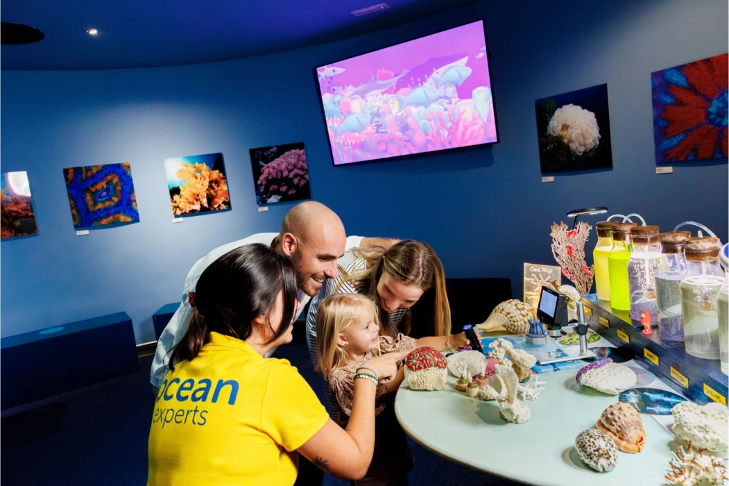 Palma Aquarium celebrates World Ocean Day with special activities, storytelling and experiences for all the family