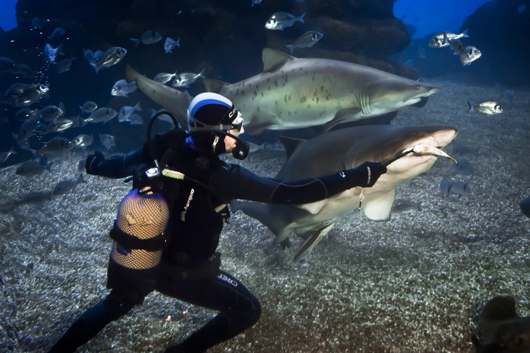 Palma Aquarium celebrates World Ocean Day with special activities, storytelling and experiences for all the family
