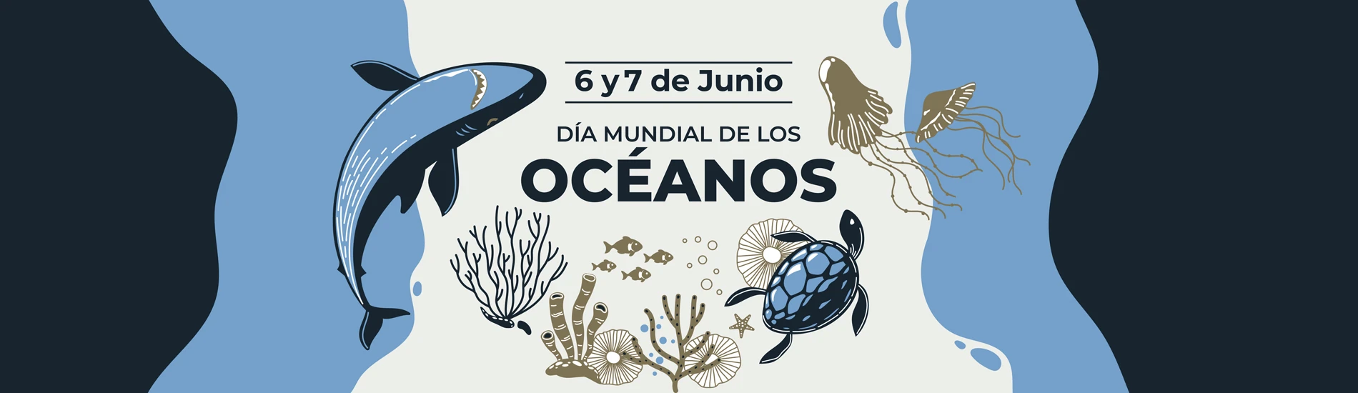 Palma Aquarium celebrates World Ocean Day with special activities, storytelling and experiences for all the family