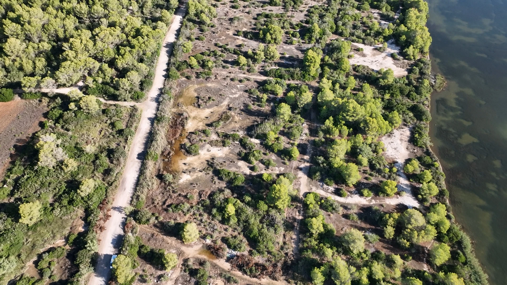 <p>RestaurAlcúdia : un effort commun pour les zones humides&nbsp;</p>