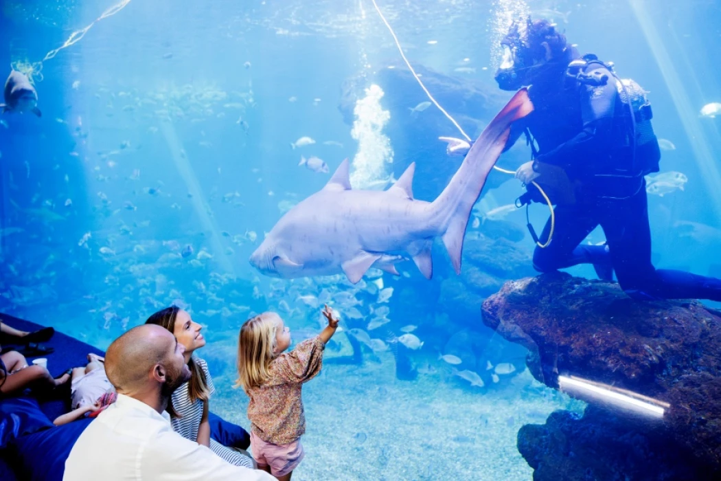 L’estiu més refrescant t’espera al Palma Aquarium