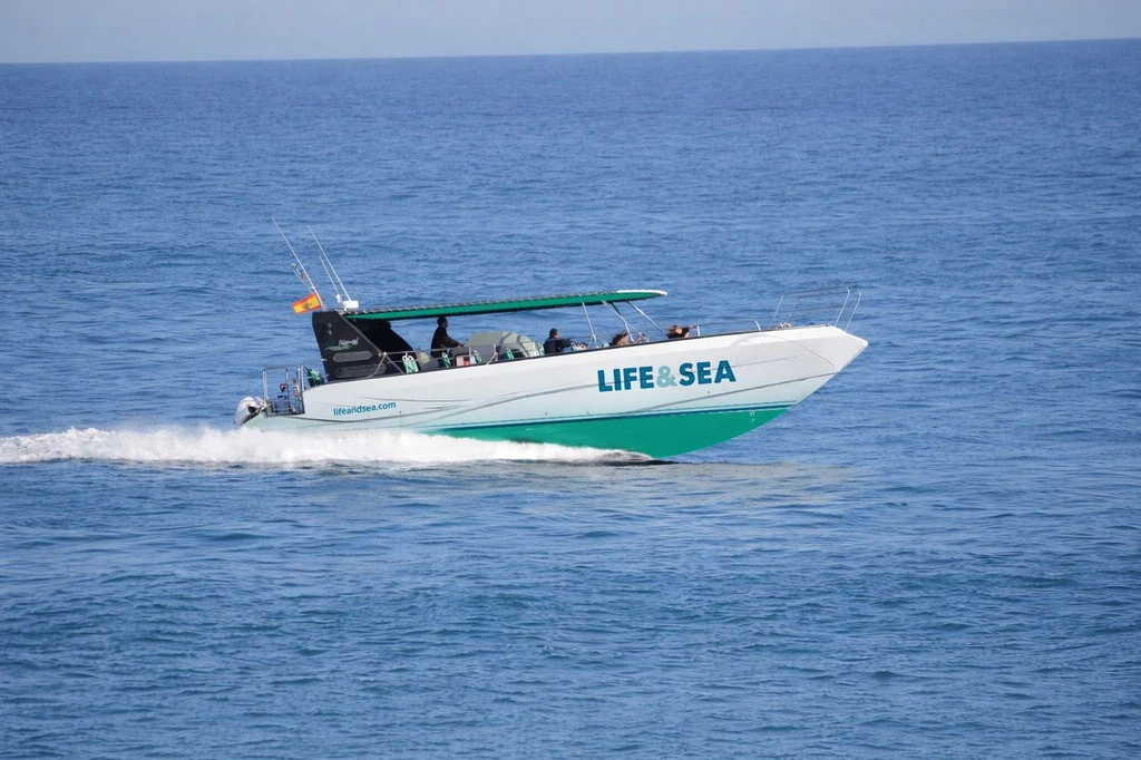 Admission + Dolphin Watching