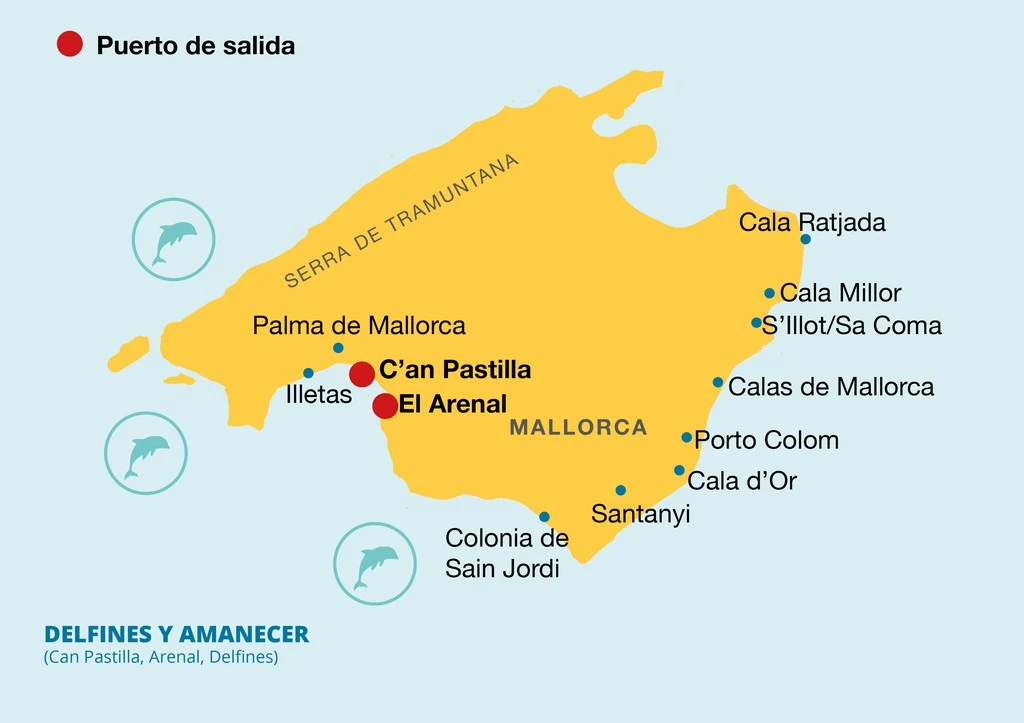 Admission + Dolphin Watching