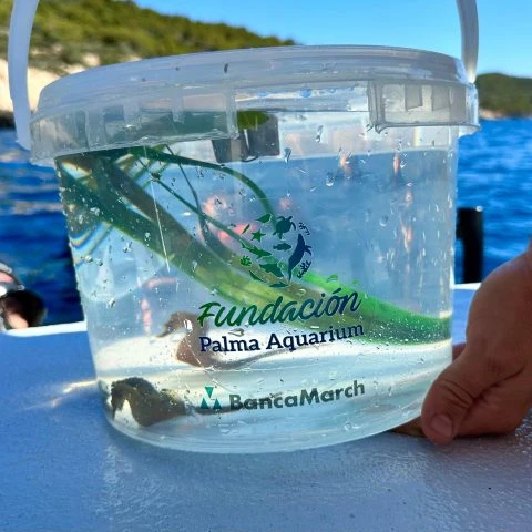 Conservación e Investigación