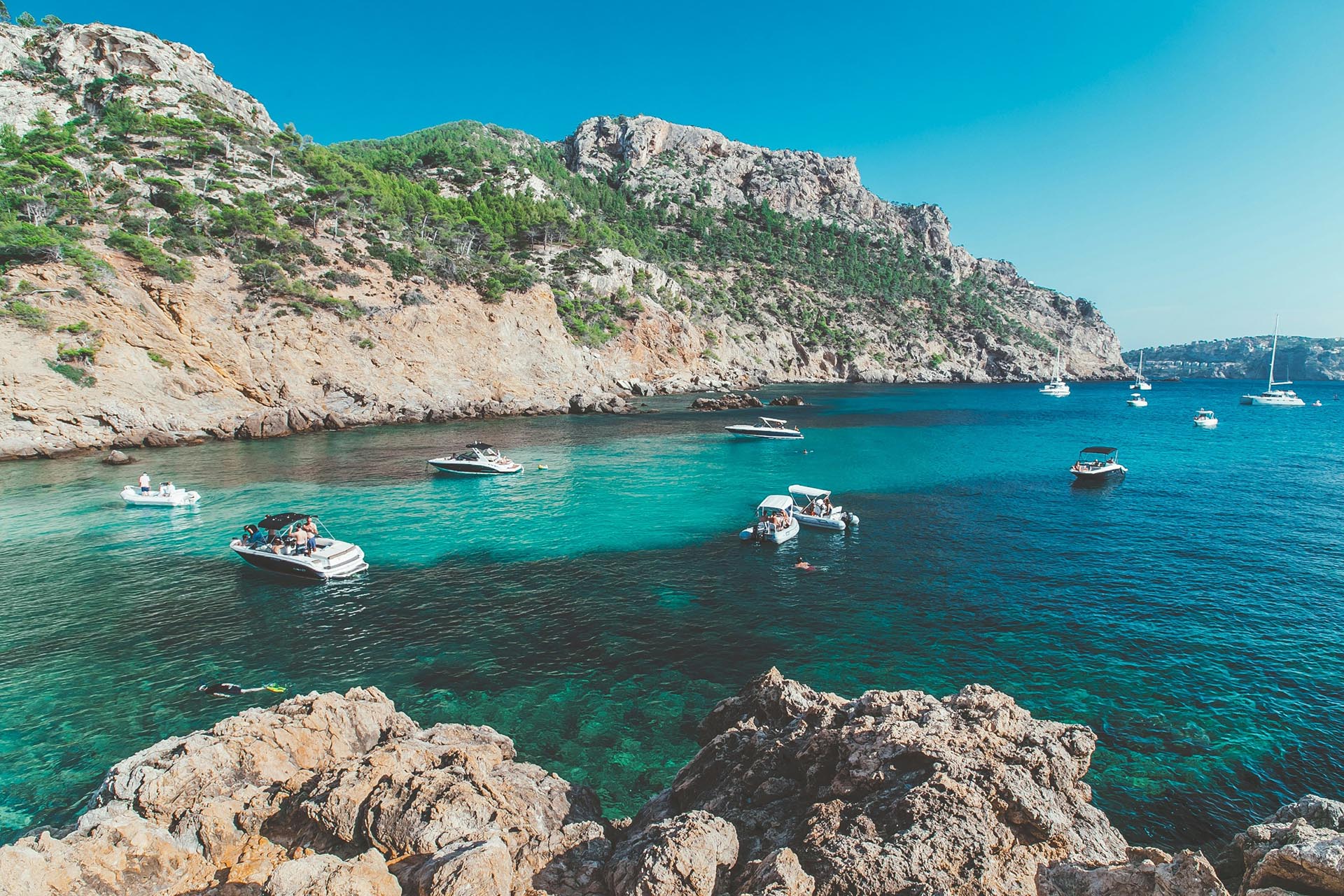 First nesting of sea turtles on Mallorca